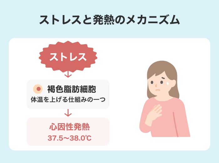 高熱が一日で下がる理由とは？原因と受診の目安について解説