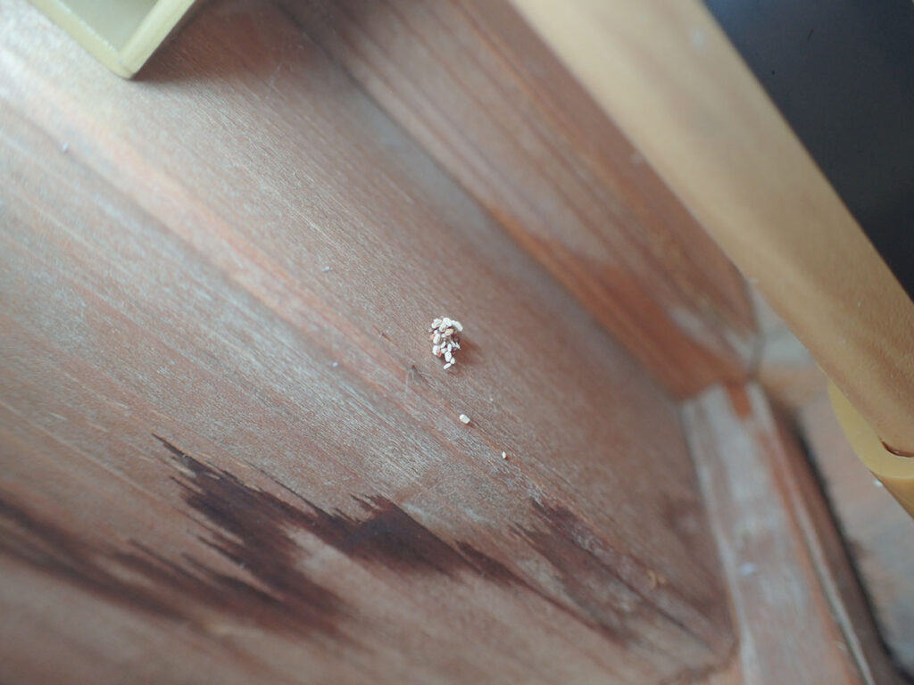 写真で特定 家のフンを見分ける庭・ベランダ・外壁・天井裏の動物 長野の住宅向け