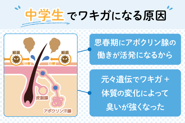 手術 号泣！手術のトラウマで注射が怖い。ワクチン接種する？しない？何十回も注射した事を手術を思い出す