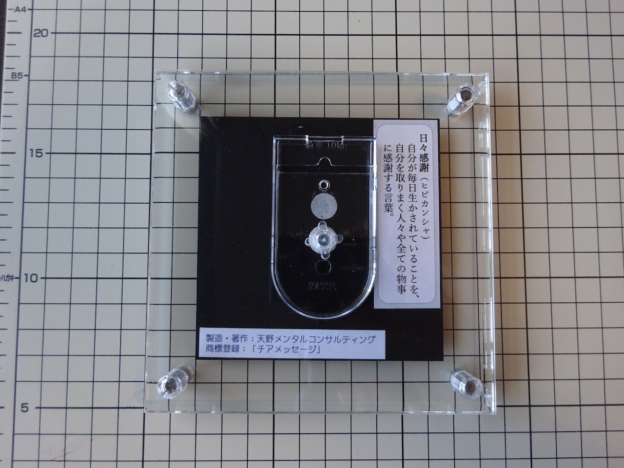 生きていることに日々感謝しよう」シンプルなモノトーンハンドメイドポスター◇C's Handmade Poster