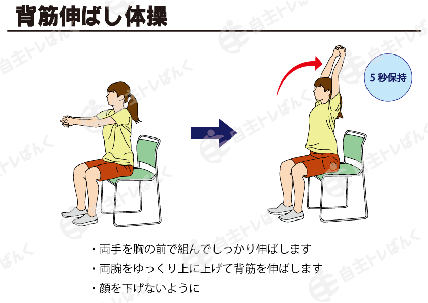 体側を伸ばすイラスト無料イラスト・フリー素材なら「イラストAC」