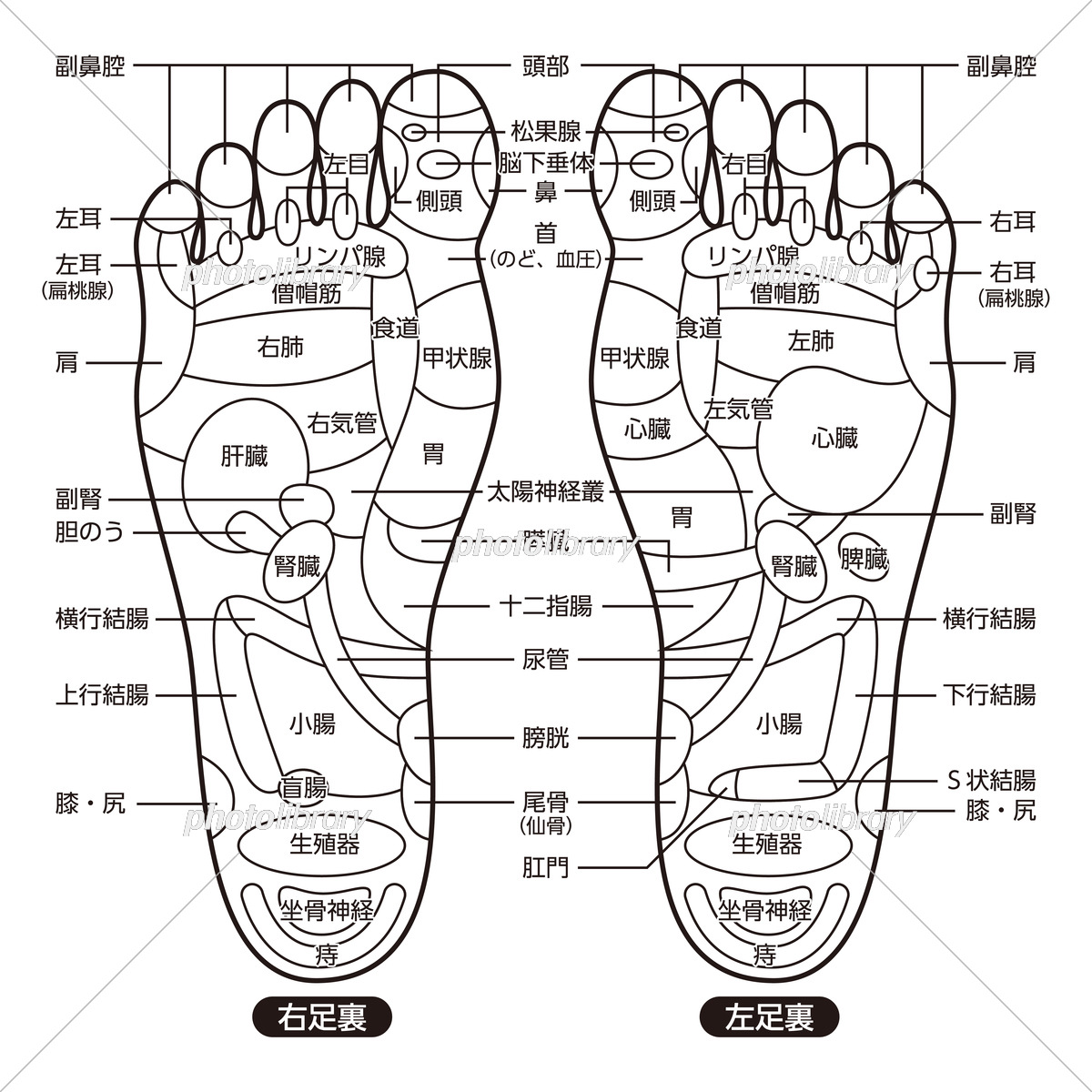 足つぼマッサージ