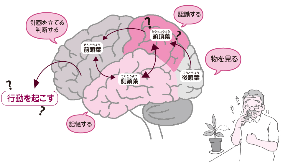 認知症の妄想はなぜ起こる？妄想の原因と種類・妄想が出現したときの対処法 朝日生命