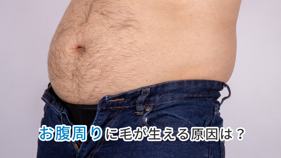 へそ周りの毛が濃い女性になる原因とお腹の毛の正しい脱毛処理を解説
