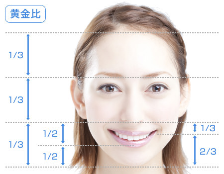 美人顔の黄金比とは？所沢市の矯正専門歯科 やまぐち矯正歯科