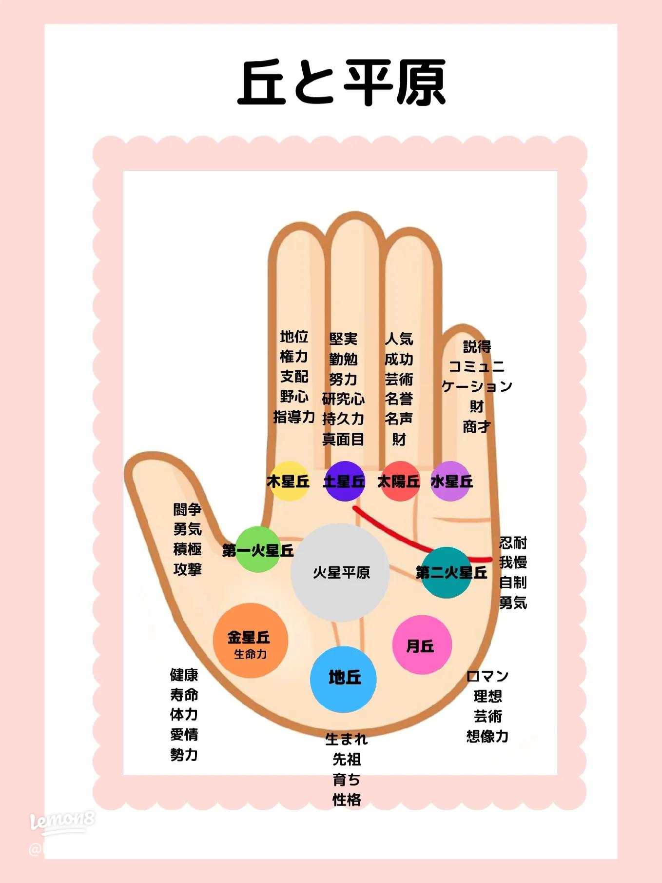 ４. 女性の幸せを招く手相入門基礎編・その他の掌線 中井ひろし
