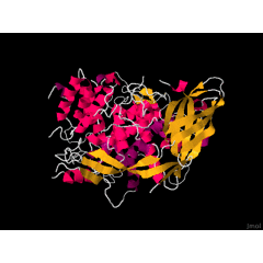 カブトガニの青い血液は150万円以上？！驚きの生態を解説Tierzine ティアジン