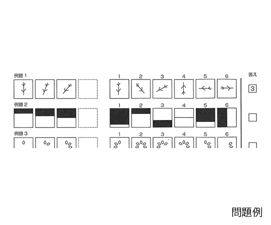 07 07 22 問題含みの「脳年齢」脳科学者はかく稽ふ