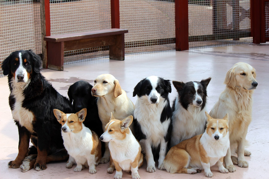 黒神話:悟空 図鑑 影神図 の一覧と埋めるコツ - 神ゲー攻略