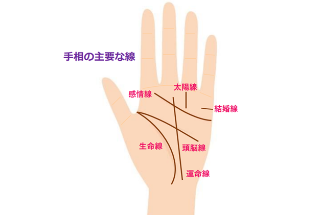 太陽線とは？どこにあるの？手相の太陽線からわかること！意味と見方を徹底解説