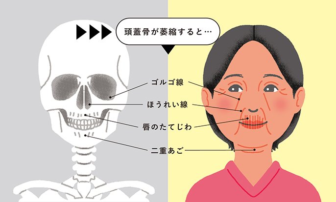 顔のたるみは「頭蓋骨の老化」が原因だった！頭蓋骨老化防止マッサージとは？健康スタジオ横浜健康スタジオ横浜矢山式気功、マインドフルネスエナジー、プラーナヨガ、背骨呼吸メソッド
