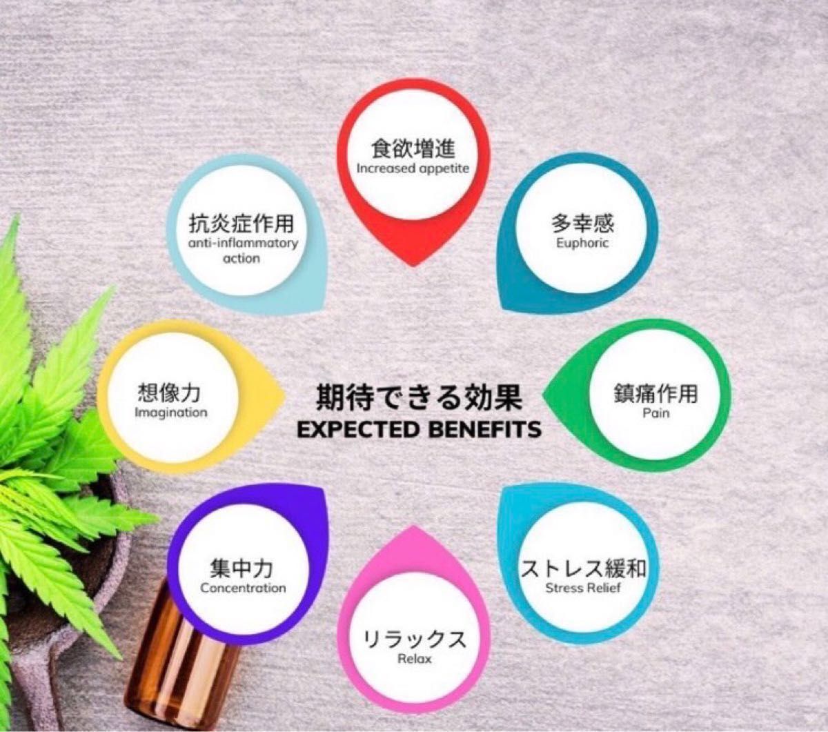 みんな、何吸うのが一番好き？俺はブルーチーズがマジで好き。あのスカンキーな匂いと味がたまんないんだよね。育てた人いる？みんなのお気に入りの吸い方とか、育ててる品種とか聞きたい🔥💯🙌🏼: r cannabiscultivation