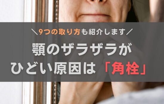あごの毛穴の角栓に！ 気になるブツブツやザラつきをケアする方法＆おすすめアイテムBeauty Journey 美容の情報 資生堂