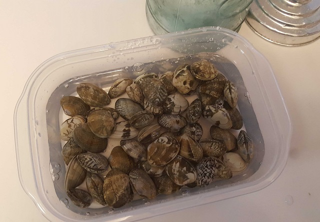 これでもう失敗しない！あさりの砂抜き 塩抜き 方法 保存版ぎんもく食堂のごはん日記