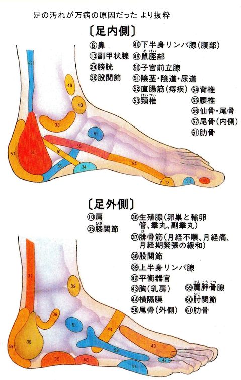 土曜のお便り 〜他人に効く足つぼ :: デイリーポータルZ