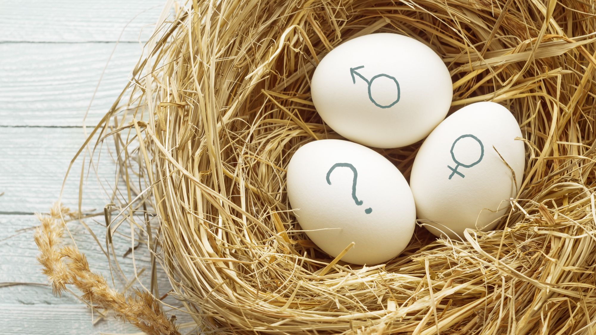 1月生まれにするには？妊娠時期を出産月から逆算妊娠の基礎知識All About