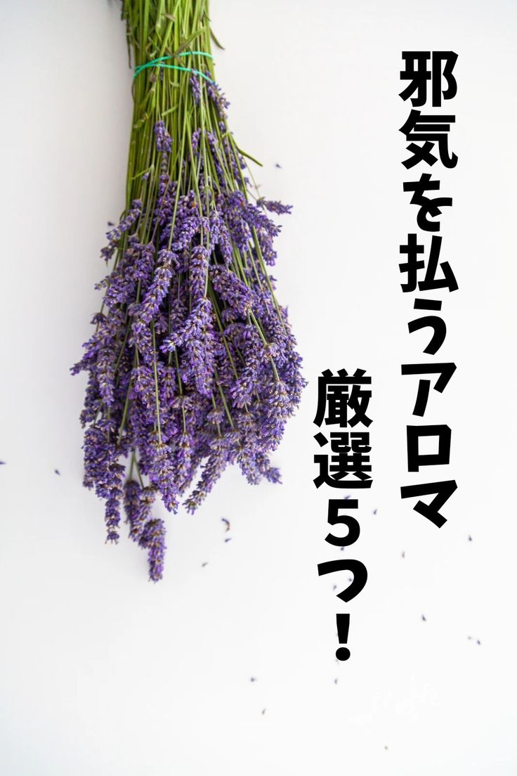 アロマの力で邪気払い！浄化に効果的なおすすめ精油5選uranau