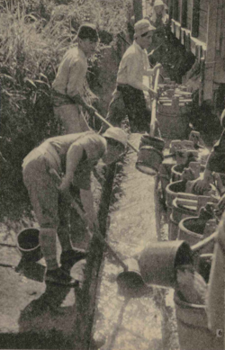 中世の修道士たちは寄生虫に苦しんでいた 有機野菜の罠か: 現在位置を確認します。 移転後