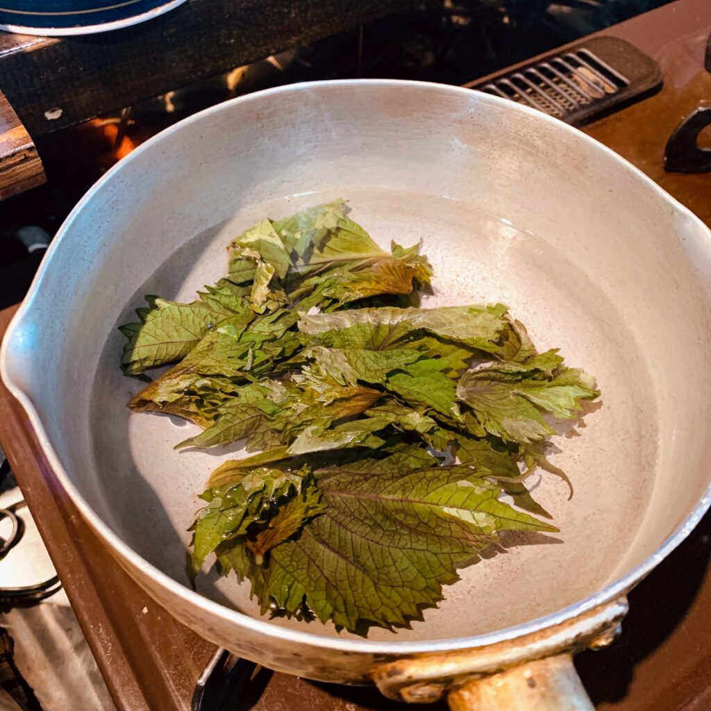 管理栄養士監修 赤しその効能・効果とは？「おばあちゃんの知恵」に学ぶ、しそジュースとしそ茶、簡単おいしい養生ごはん農業・ガーデニング・園芸・家庭菜園マガジン AGRIPICK