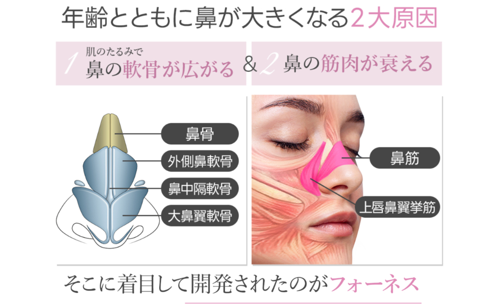ルクセア フォーネス<鼻専用EMS美顔器> 通販 ニッセン