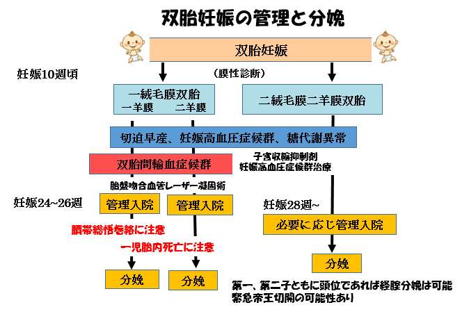 多胎妊娠和歌山県立医科大学 産科婦人科