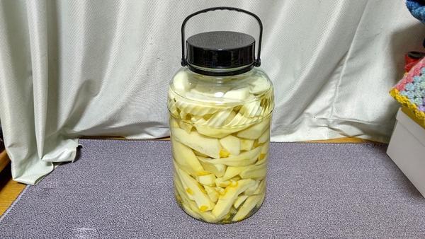 ハヤトウリの育て方植え方と時期は？プランター栽培や摘心方法は？🍀GreenSnap グリーンスナップ