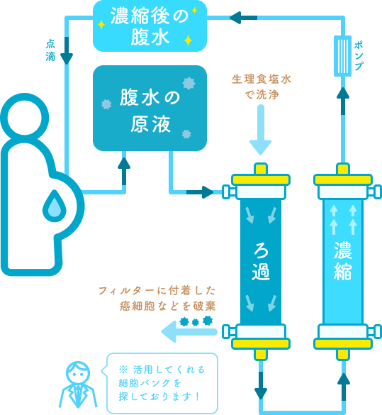 浮腫・腹水 - 肝臓の病気にかかると出現する症状よくわかる肝臓の病気「疾肝啓発」