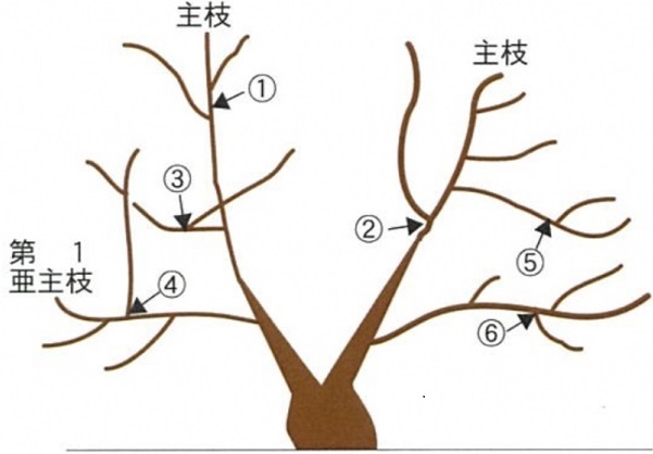 福島県伊達市 on X: 