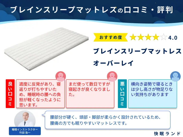 BRAIN SLEEP PILLOW ブレインスリープ ピロー 枕 スタンダード