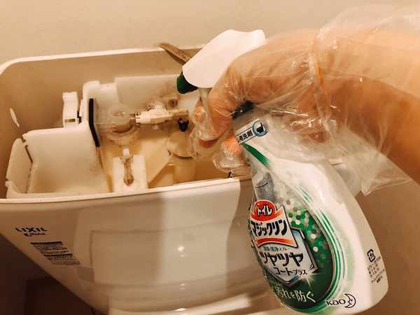 Amazon.co.jp: カビキラー 洗濯槽クリーナー 液体 550g×3本 お掃除手袋つき カビ取り 除菌 ドラム式対応 つけおき不要すくい取り不要 まとめ買いAmazon.co.jp 限定: ドラッグストア