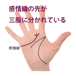 特別な証！？複数の枝分かれした知能線を持つ意味を徹底解説！ - クラスール 占い