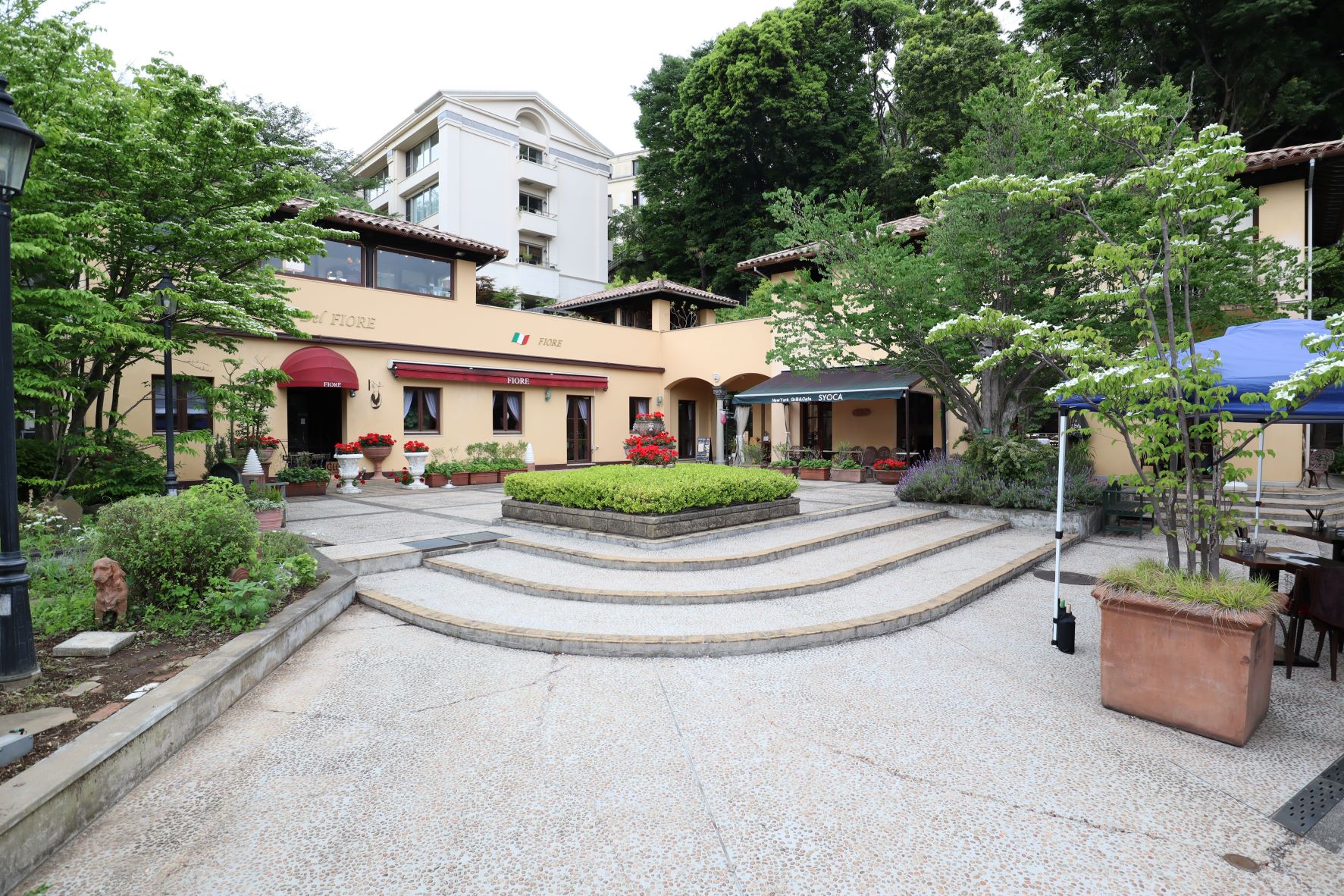 星活サロン ～星を活かして、人生をもっと楽しく自分らしく～ CAMPFIREコミュニティ