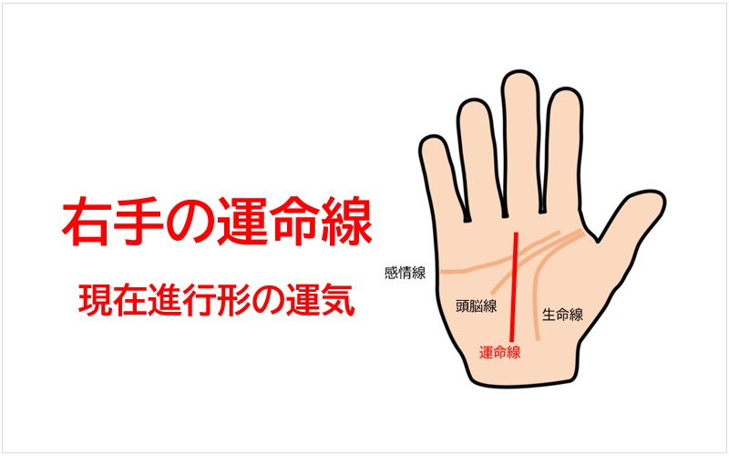 最高の手相のラッキーM線の幸運度がスゴすぎる意味とは？みんなあるの？家族にいるとどうなる？無料占いfushimi