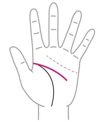 手相占い 線と線がつながっているように見える手相なら強運の持ち主？Oggi.jp