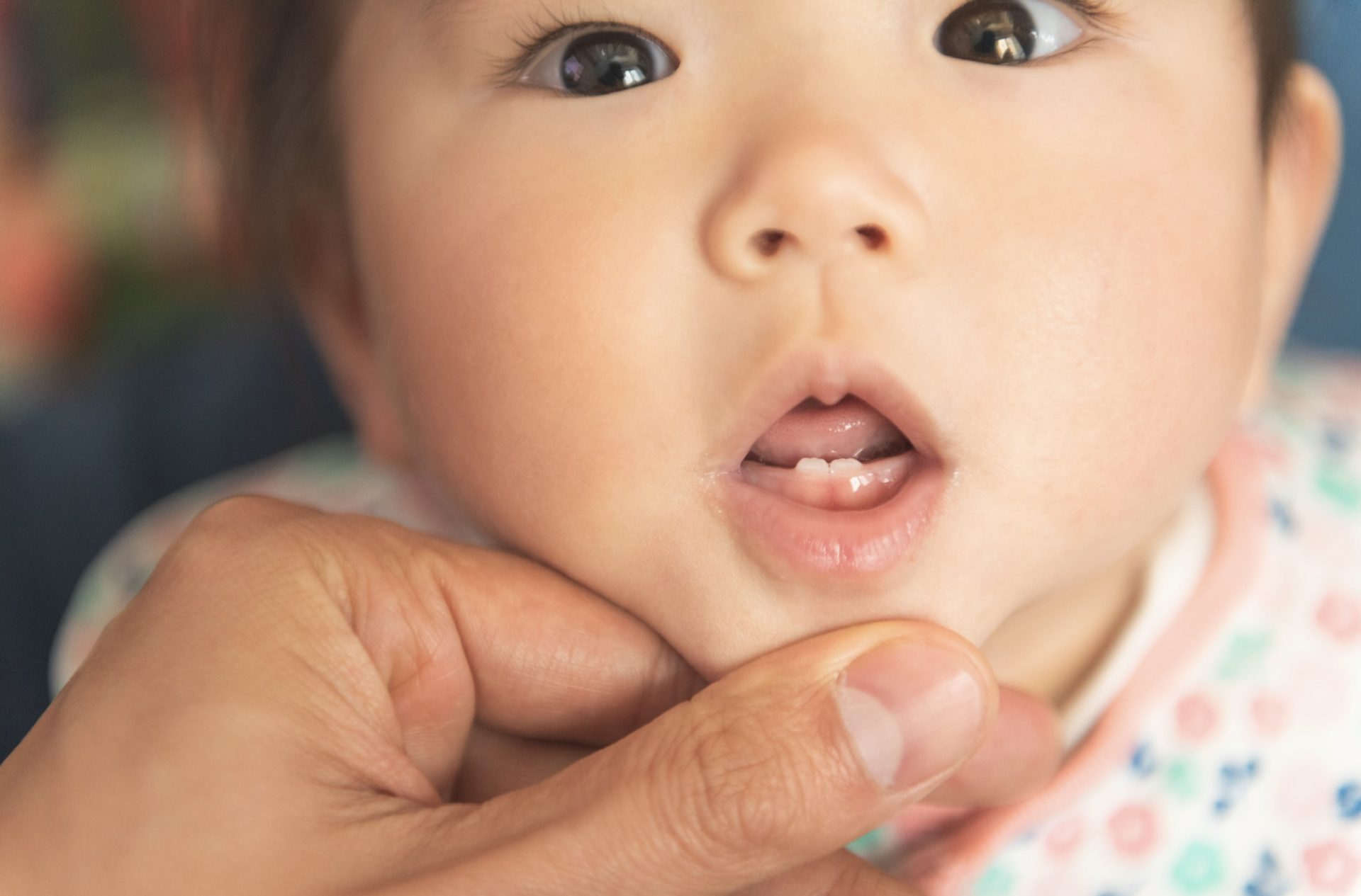 いつ、どの順で？生える前兆は？乳歯はこうして生えるよ徹底ガイド - 株式会社エバーセンス