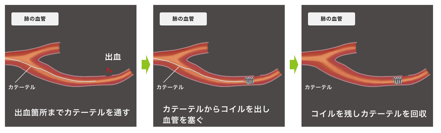 朝倉書店『内科学』 第12版 デジタル付録