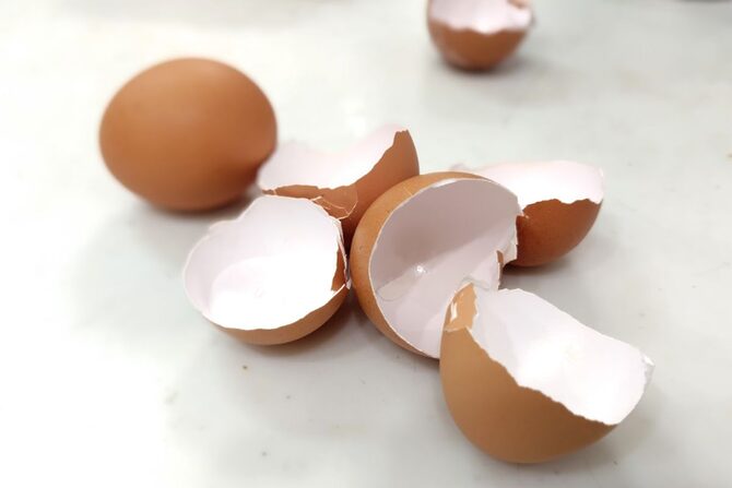 ナメクジ対策：家庭菜園の強い味方3選