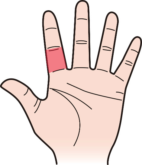 手相のほくろは吉兆？凶兆？ 出現位置が中指や薬指などによって違う意味 – grapeグレイプ