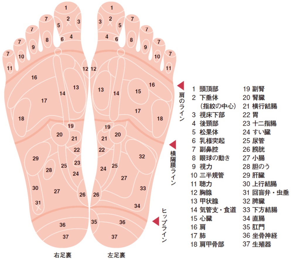 足つぼの効果を部位別に解説！セルフでできるマッサージのコツは？ホットペッパービューティーマガジン