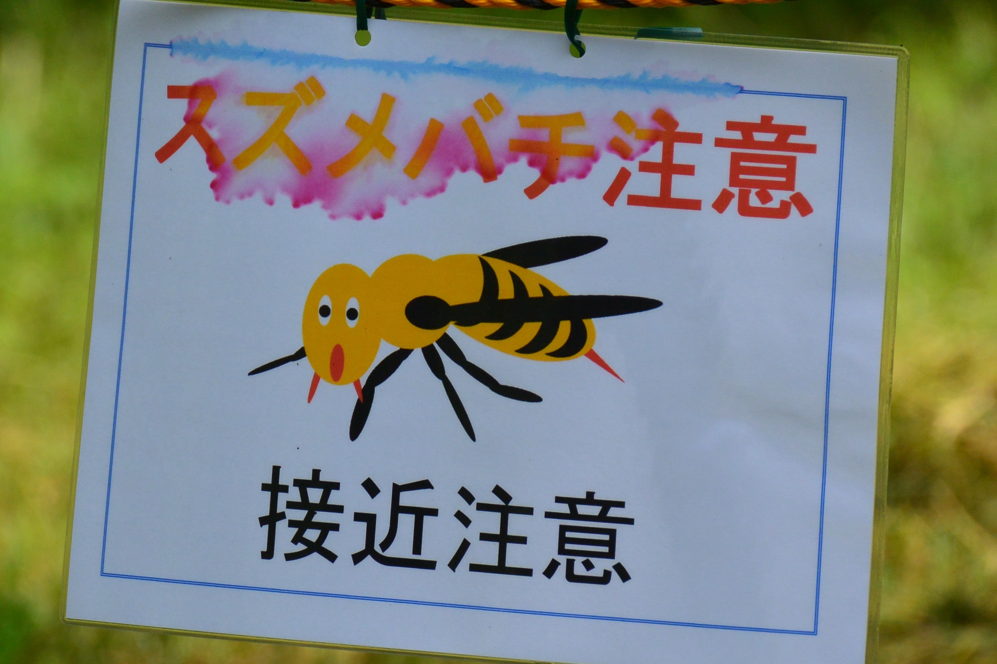 ハチ注意A-16のイラスト素材4808741- PIXTA