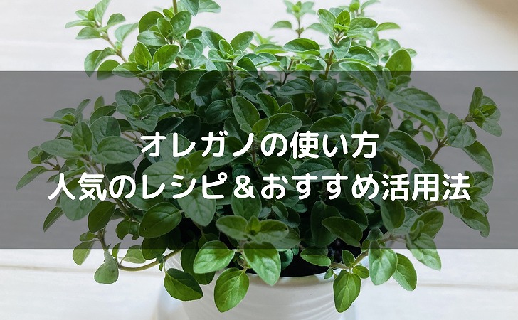 オレガノ ひと瓶あればお料理が楽しく。オレガノで作るハーブソルト。エバーグリーン – エバーグリーンポスト