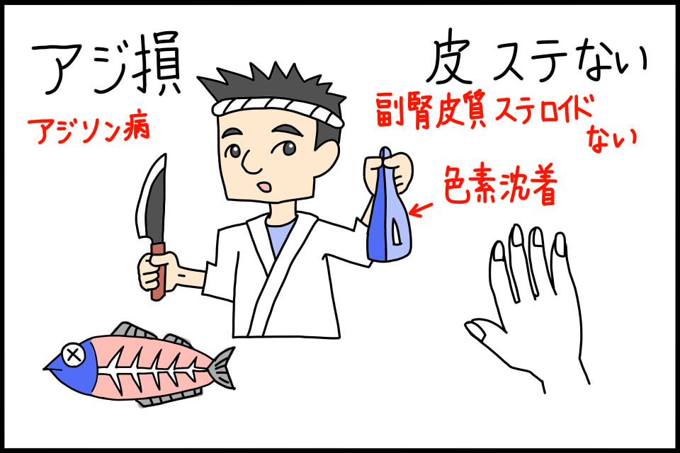 ヒドロコルチゾン コートリル– 内分泌疾患治療薬 - 神戸きしだクリニック 神戸市中央区