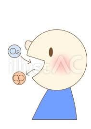 いろいろないびきのイラスト 男性かわいいフリー素材集 いらすとや