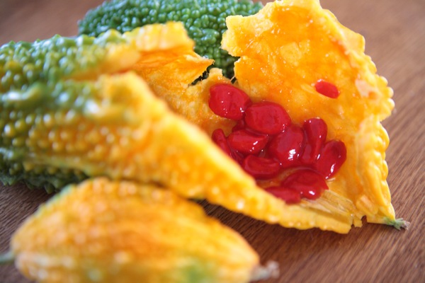 ゴーヤの赤い種！ : YOUとHAPPY DAYS