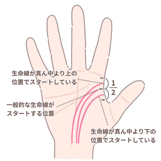 手相 生命線 完全ガイド あなたの寿命は？長生きできる？ - 占いの森