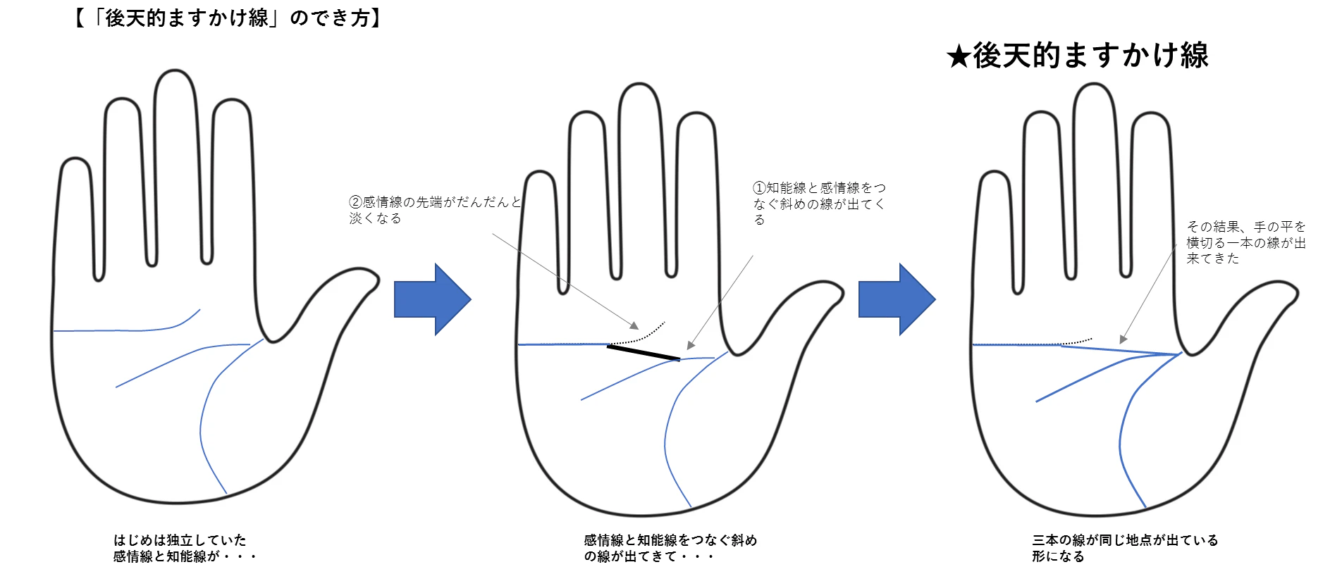 手相 占い」大串ノリコ先生監修！好きな人との相性、勉強運、適職など、気になることを占おう！ 高校生なうスタディサプリ進路 高校生に関するニュースを配信