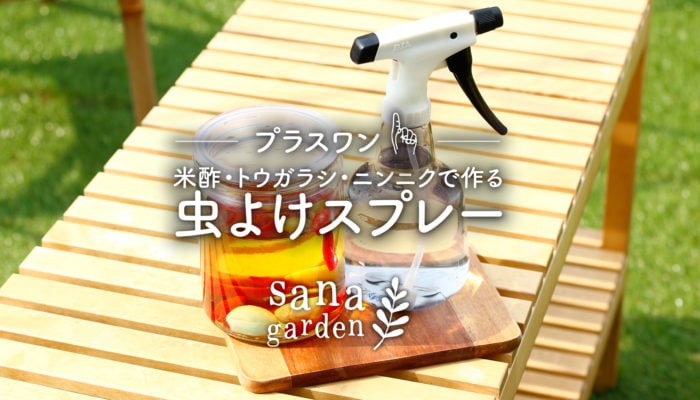 家庭菜園用簡単手作り虫除けスプレーの作り方LOVEGREEN ラブグリーン