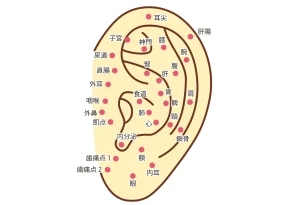 日中のしつこい眠気はセルフケアで解消！自分で押しやすいツボ5選 – EPARKくすりの窓口コラムヘルスケア情報