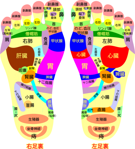 これを読めば足つぼ博士！押すと痛い理由・位置・効果・押し方まとめ