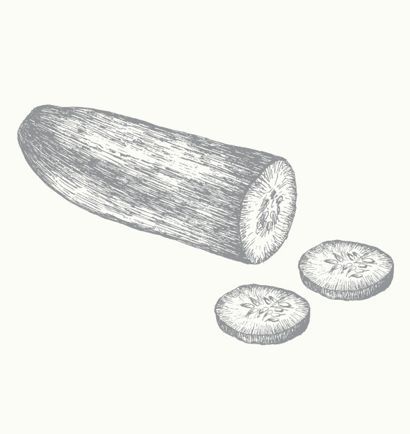 お肌に透明感を与える天然由来ジュニパーブライト お肌に透明感を与える天然由来ジュニパーブライト化粧品のトレンド、市場動向、試験受託、法規制など役立つヒントをご提供IWASEコラム